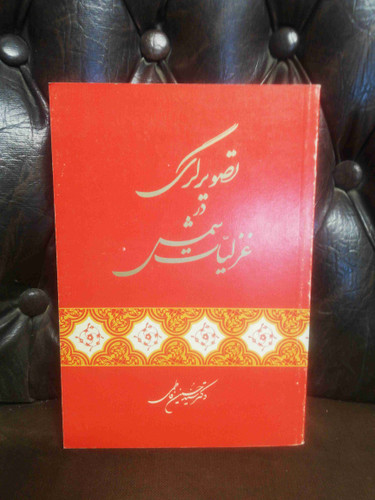 تصویر گری در غزلیات شمس