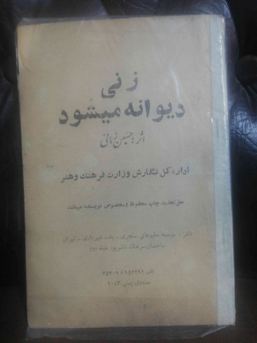 زنی دیوانه میشود