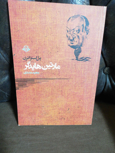 مارتین هایدگر پل استراترن