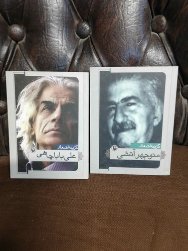 دوجلد جیبی