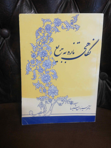 نگاهی تازه به بدیع