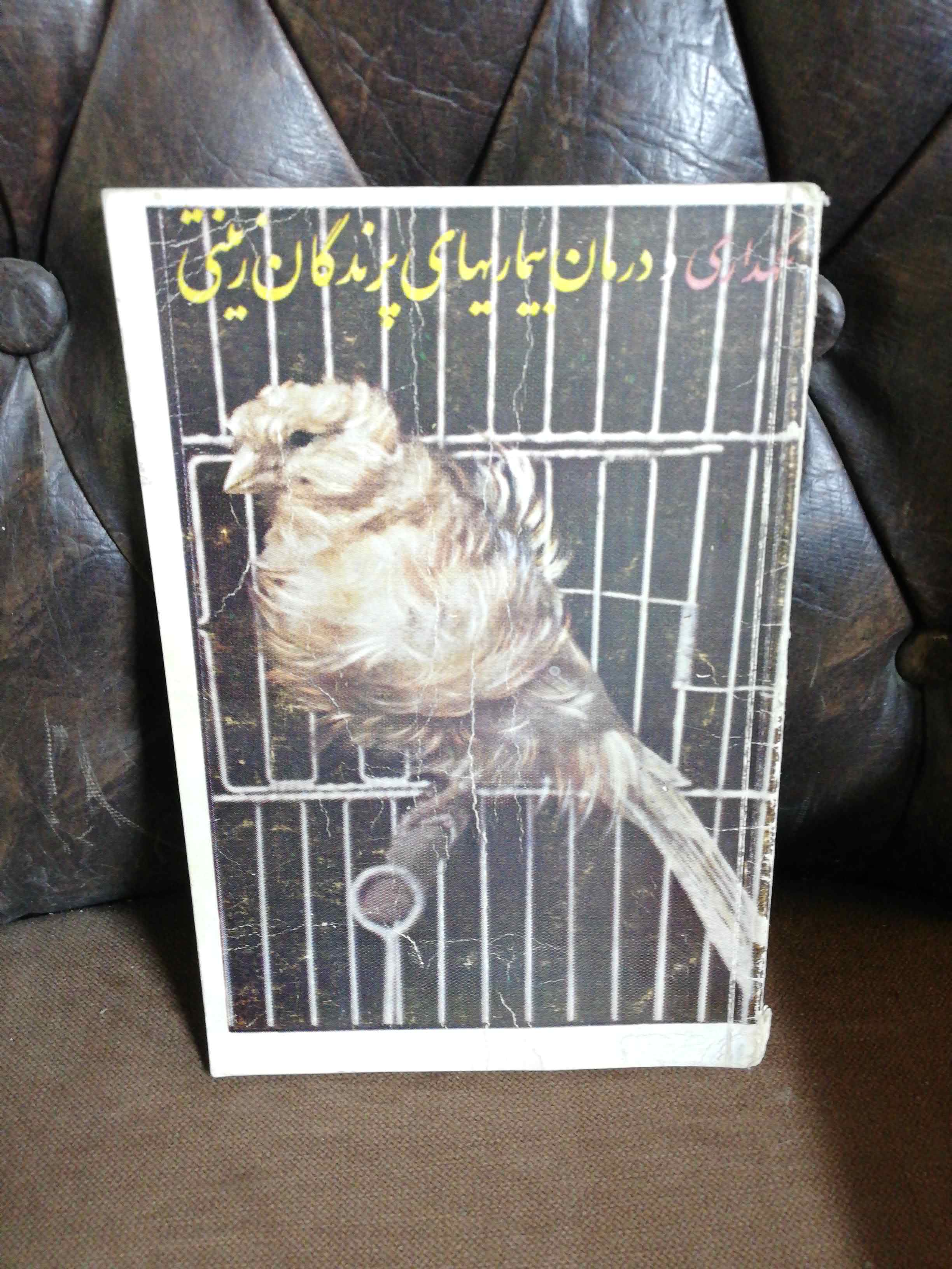 نگهداری و درمان بیماریهای پرندگان زینتی