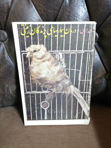 نگهداری و درمان بیماریهای پرندگان زینتی
