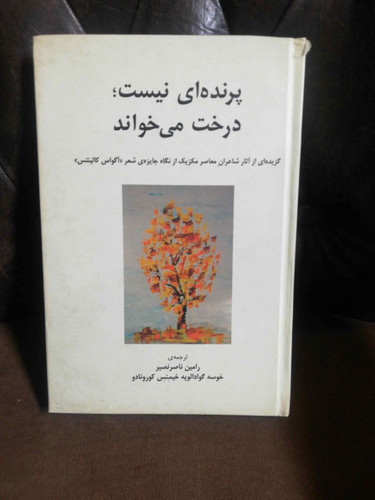پرنده ای نیست درخت میخواند