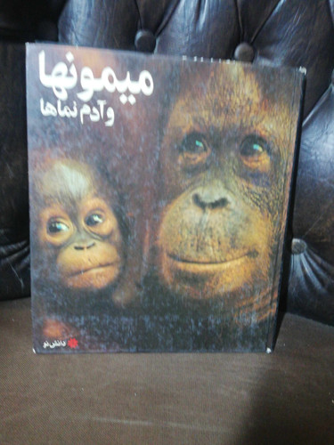 میمونها و ادم نماها. بزرگ جلد سخت
