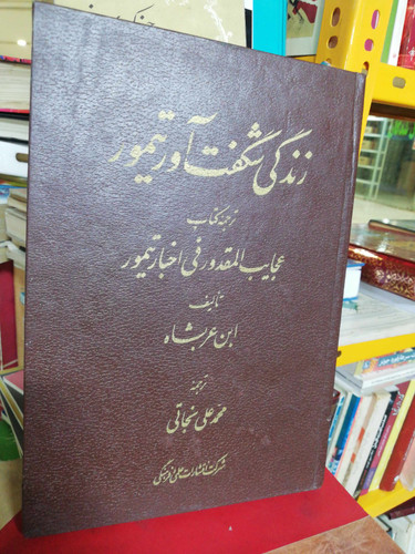 زندگی شگفت اور تیمور
