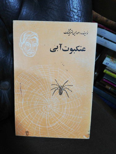 عنکبوت ابی موریس مترلینگ