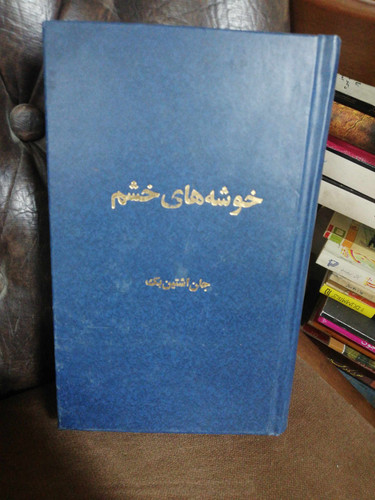 خوشه های خشم
