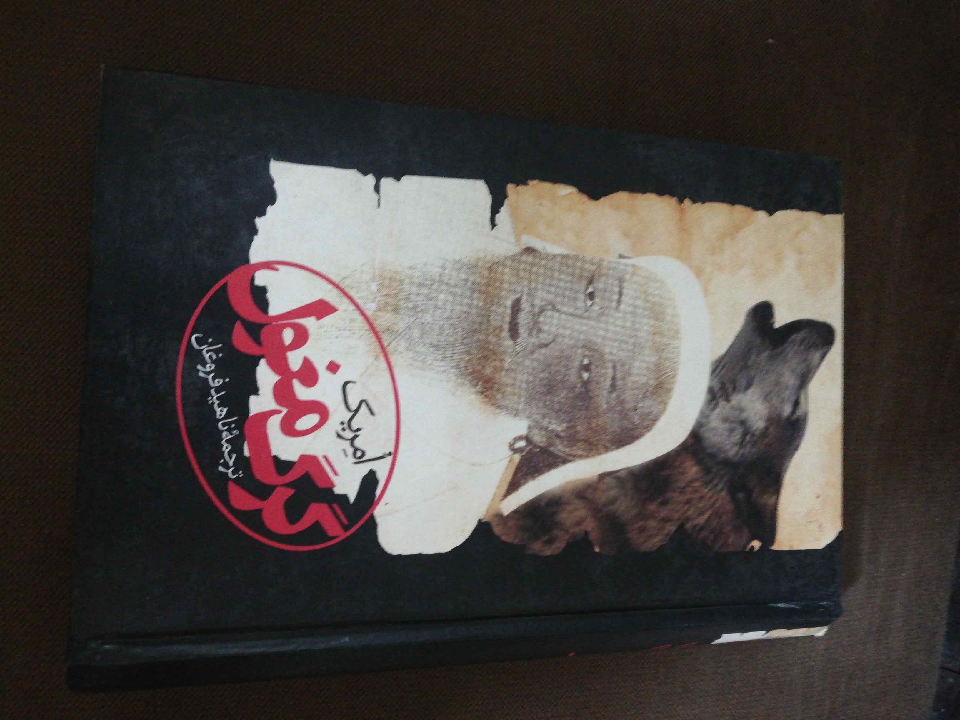 گرگ مغول