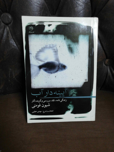 ایینه دار اب. شیون فومنی