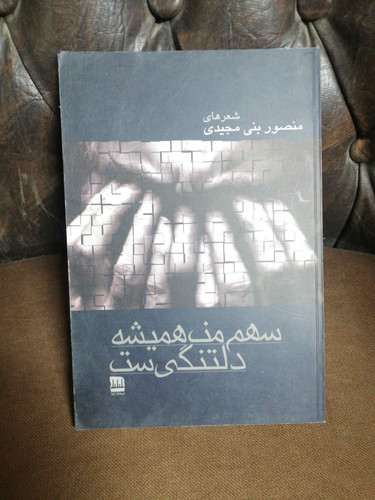 سهم من همیشه دلتنگی است
