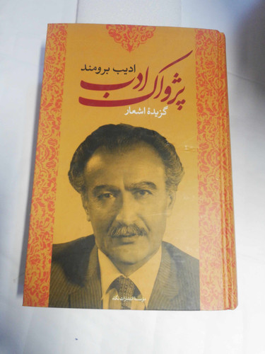 پژواک ادب. ادیب برومند