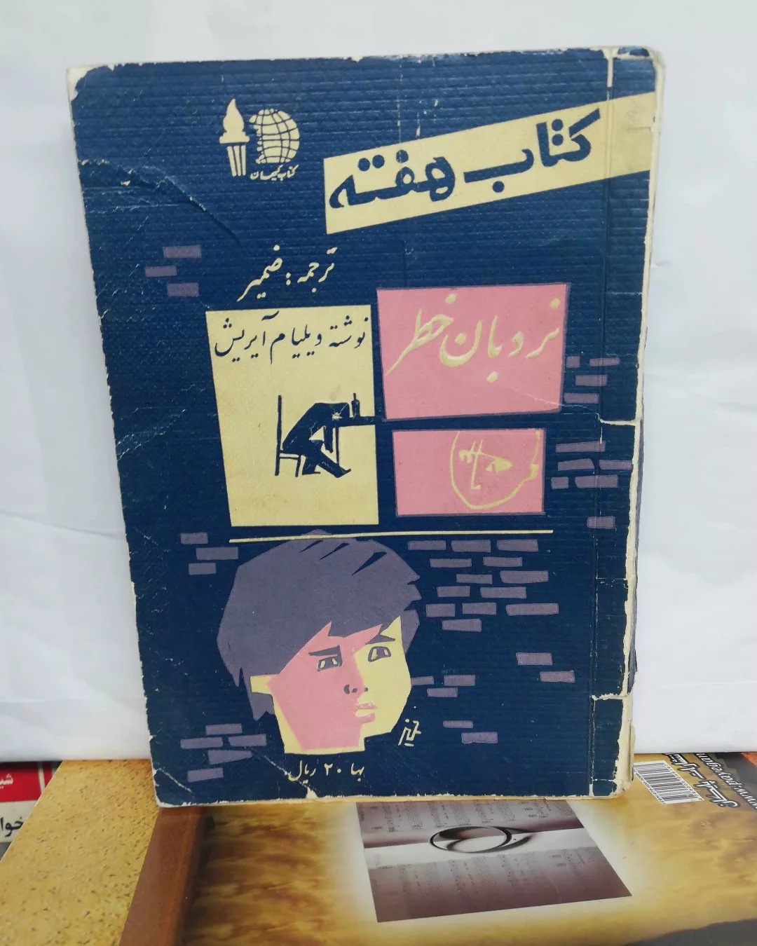 نردبان خطر