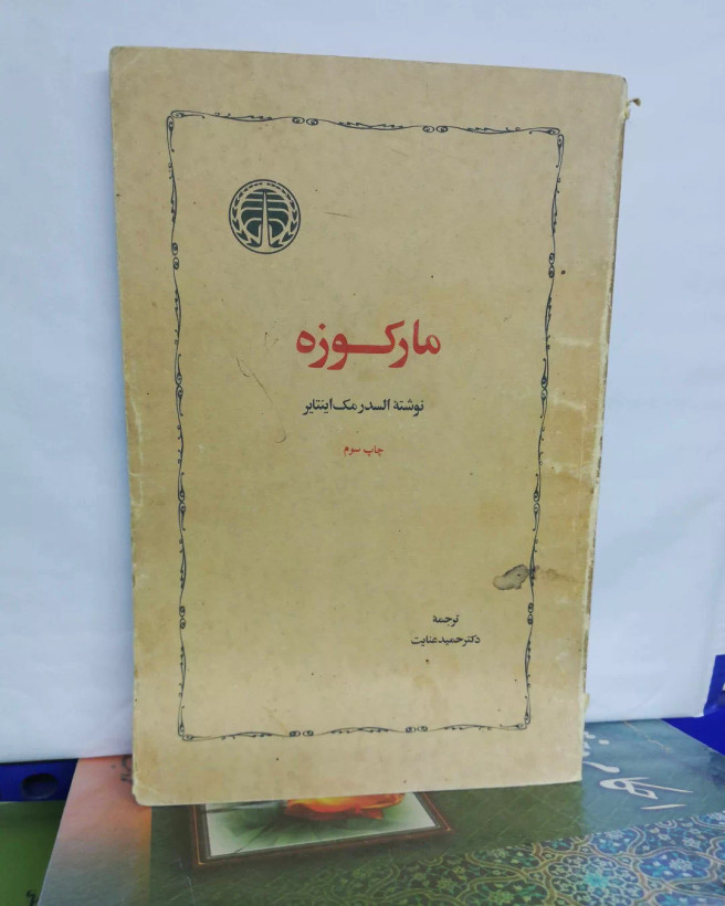 کمی اب خورده ولی سالمه