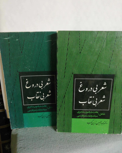 شعر بی دروغ شعر بی نقاب. عبدالحسین زرین کوب