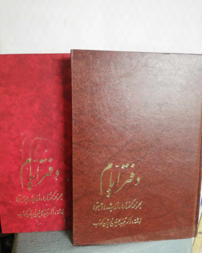 یاد ایام. عبدالحسین زرین کوب