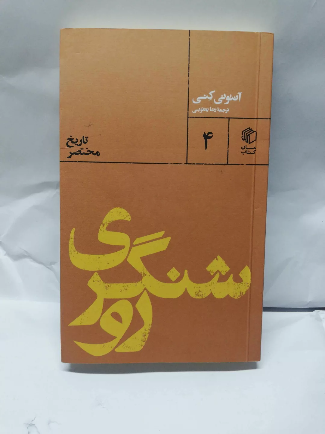 پالتویی