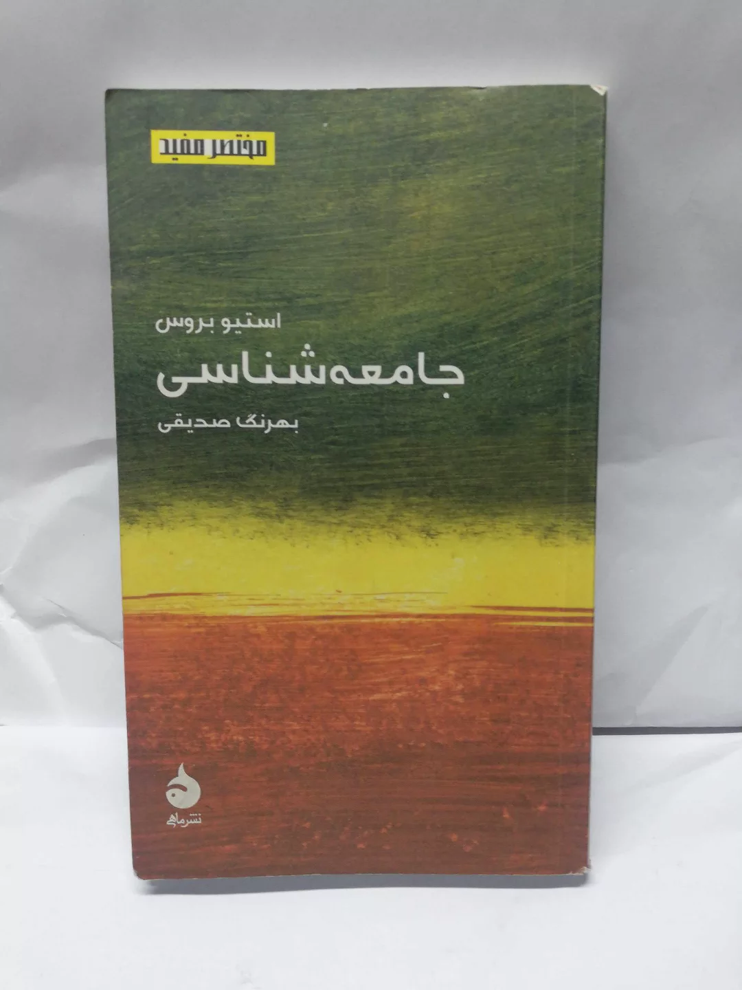 پالتویی