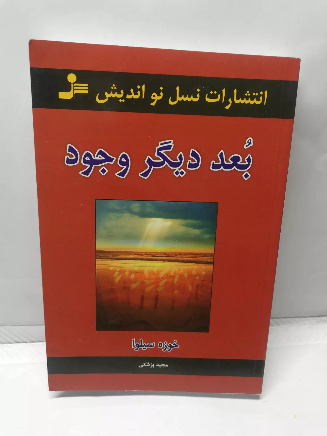بعد دیگر وجود.