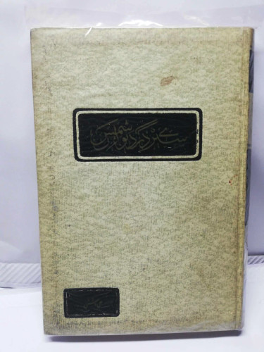 سیری در دیوان شمس.علی دشتی
