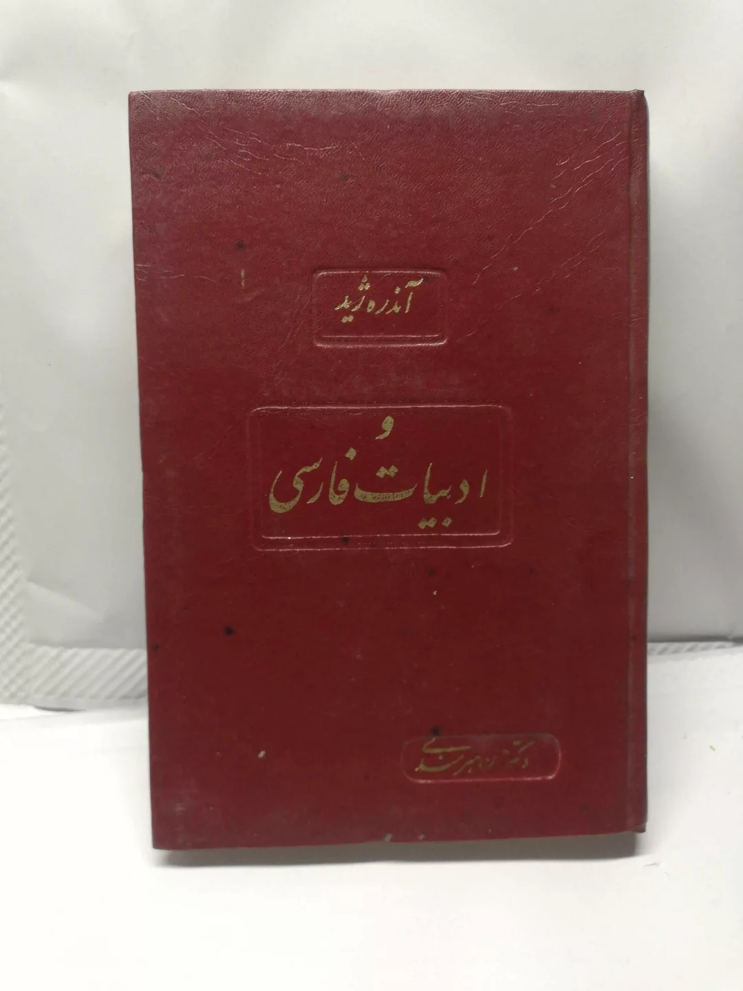 ادبیات نمایشی. اندره ژید