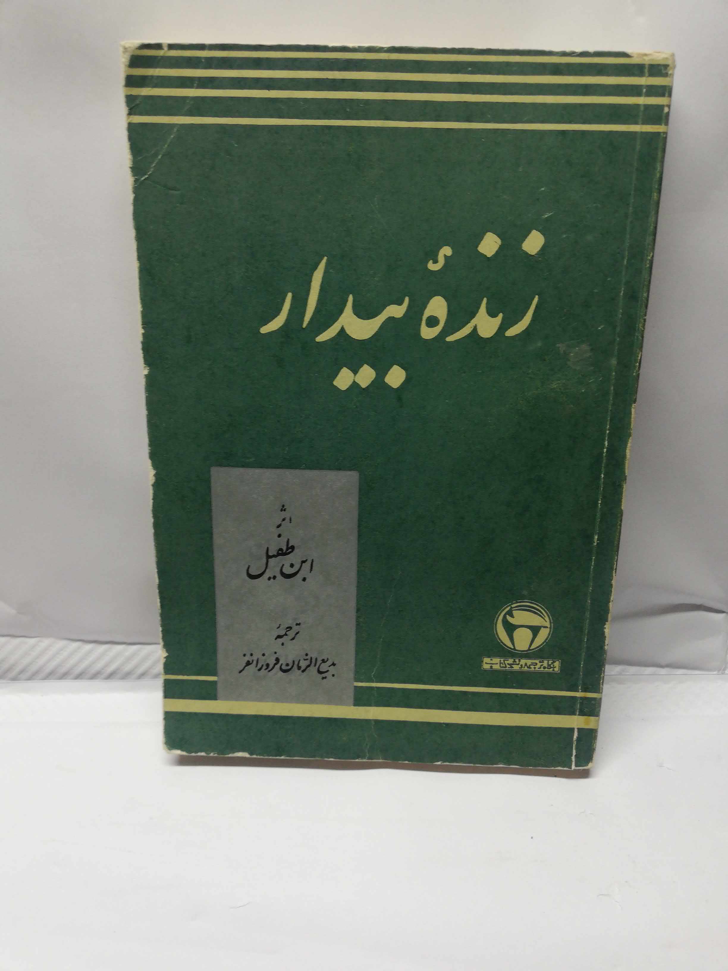 زنده بیدار. ابن طفیل