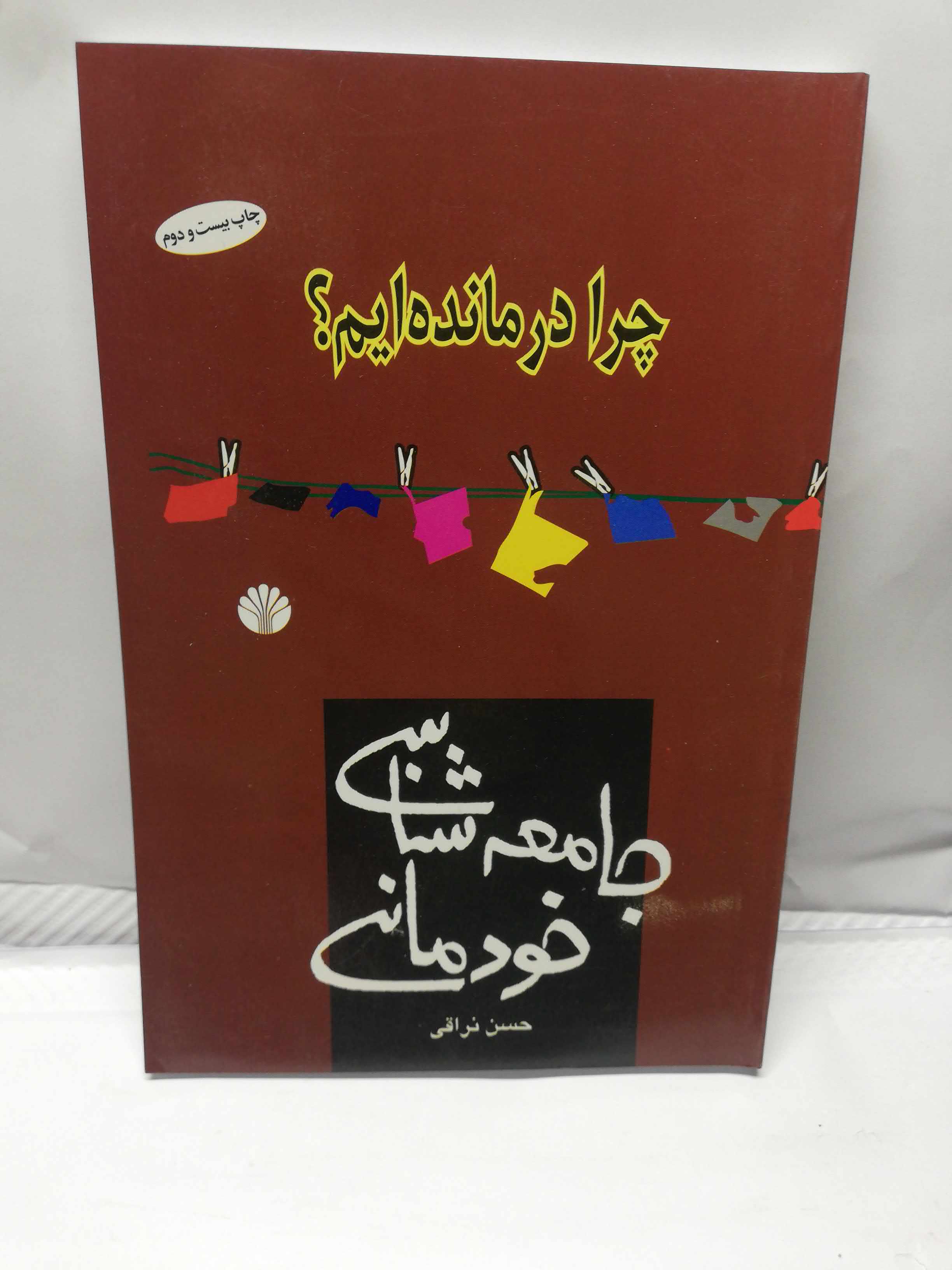 جامعه شناسی خودمانی