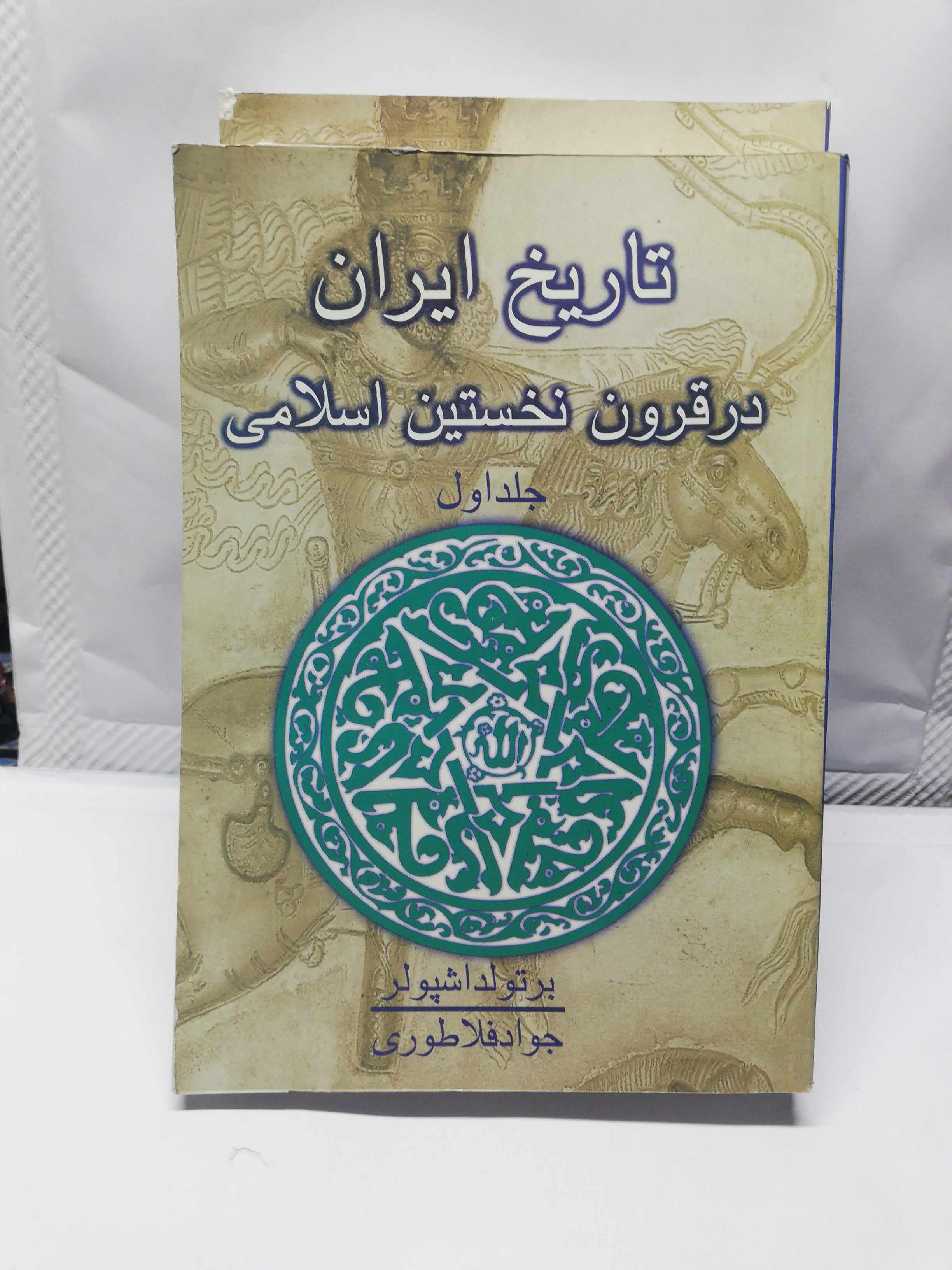 تاریخ ایران در قرون نخستین اسلامی دوجلدی