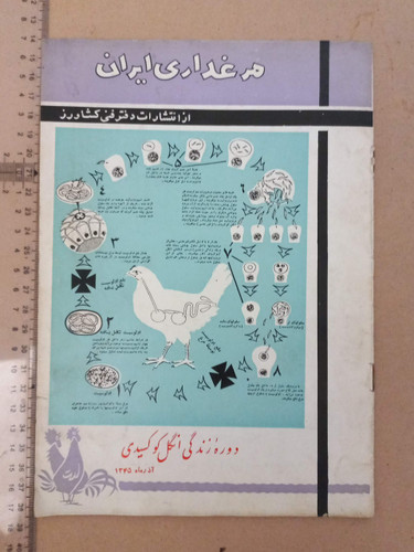 مرغدار ی ایران/ 1345 (F)