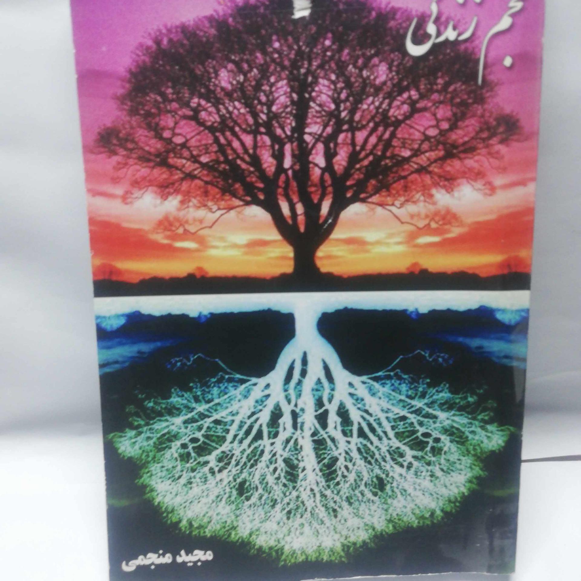 حجم زندگی. مجید منجمی