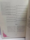 سیمای شاعران