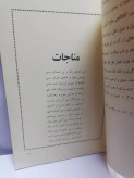 سایه گریزان. عالم تاج ثمری