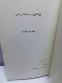 پژوهشی در فرهنگ زرتشتی