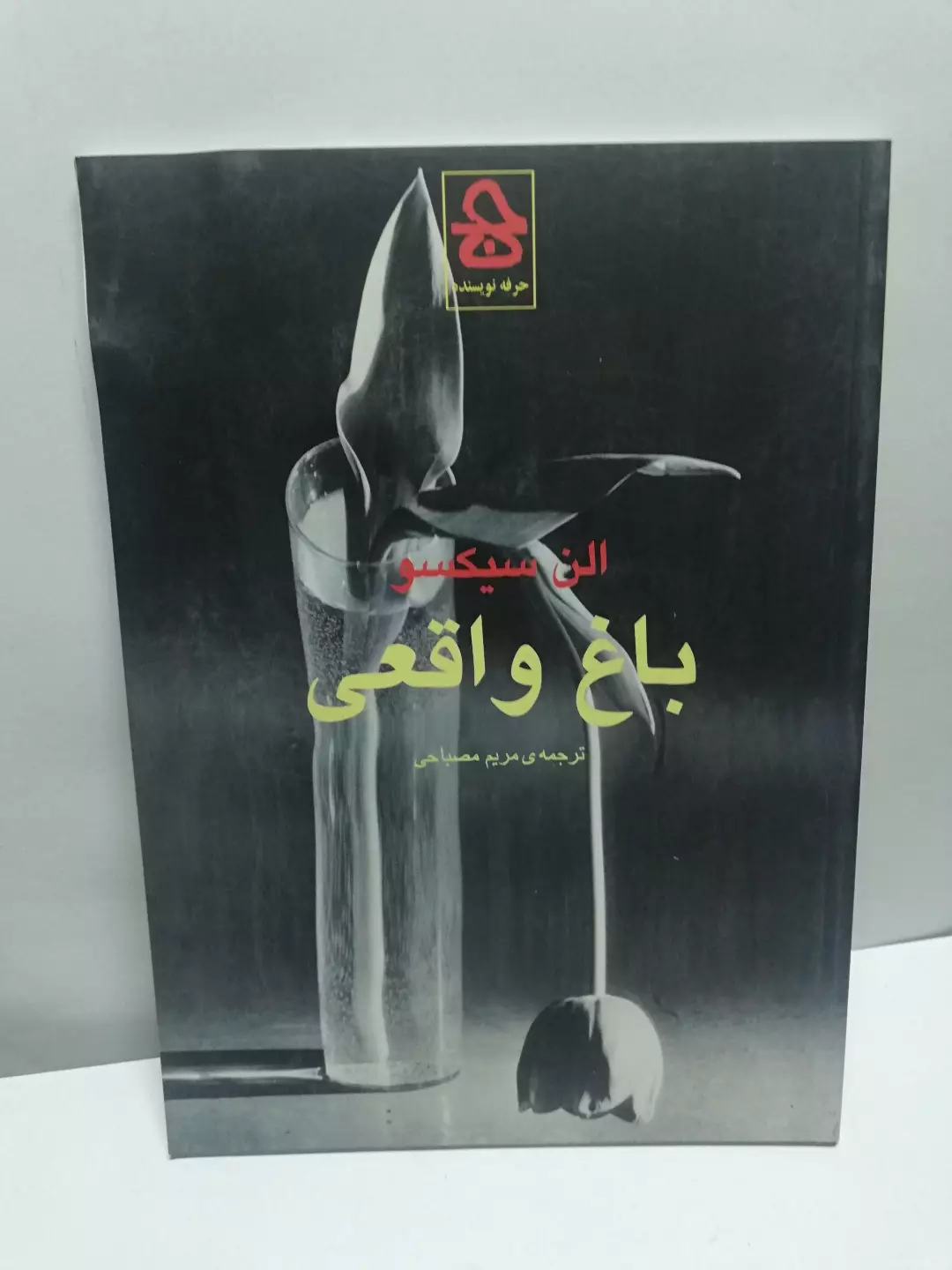 ضثصشبضثب