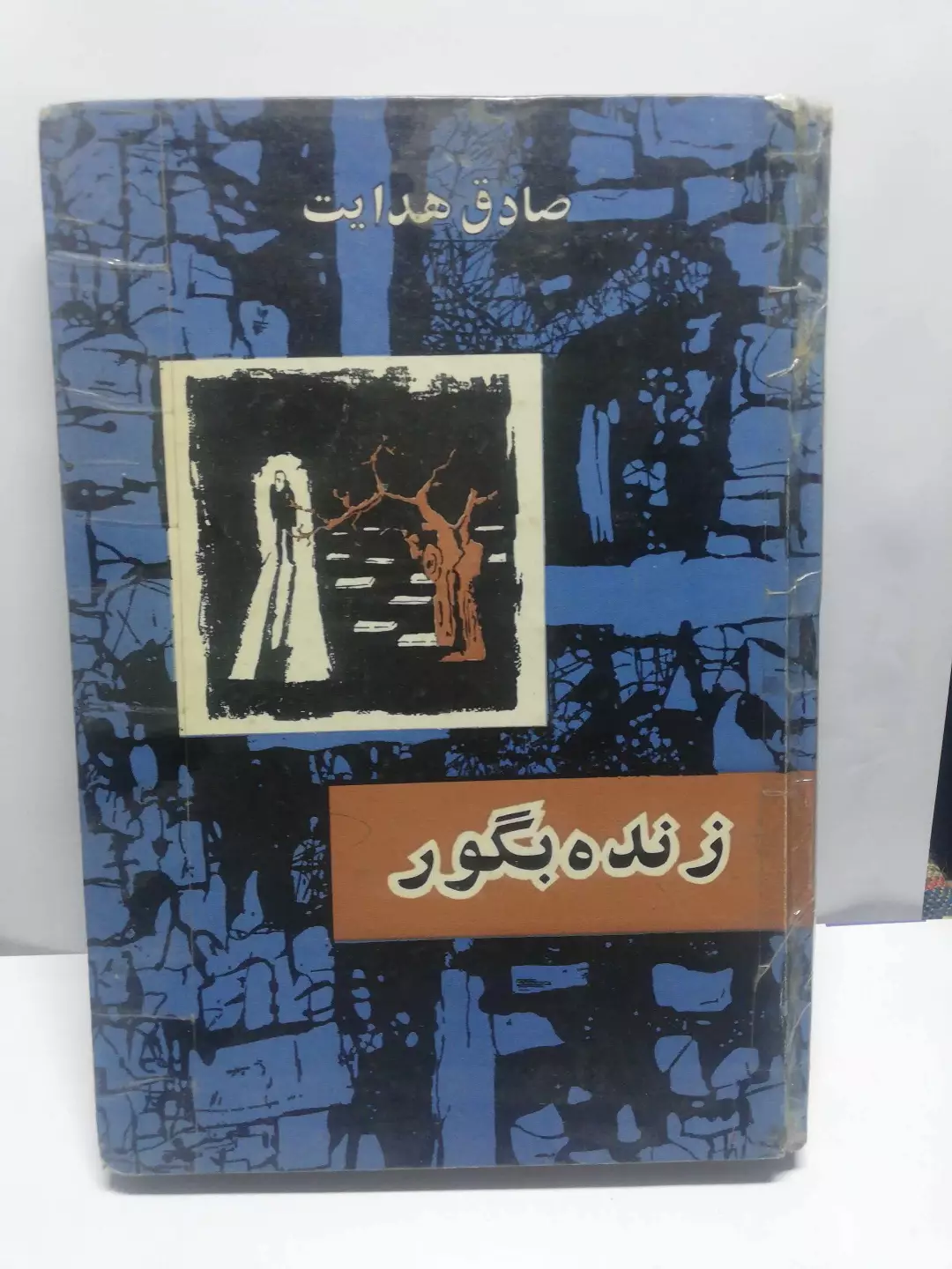 زنده بگور.صادق هدایت